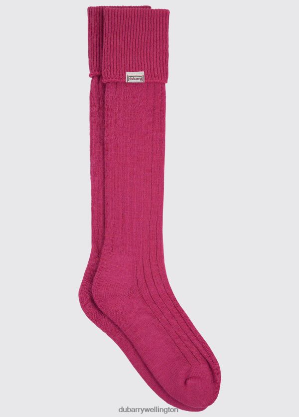 Accessories Alpaca Socks Pink Dubarry Women 8P68RB379